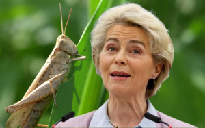 Ursula și Prefectura von der Leyen, file de istorie gastronomică