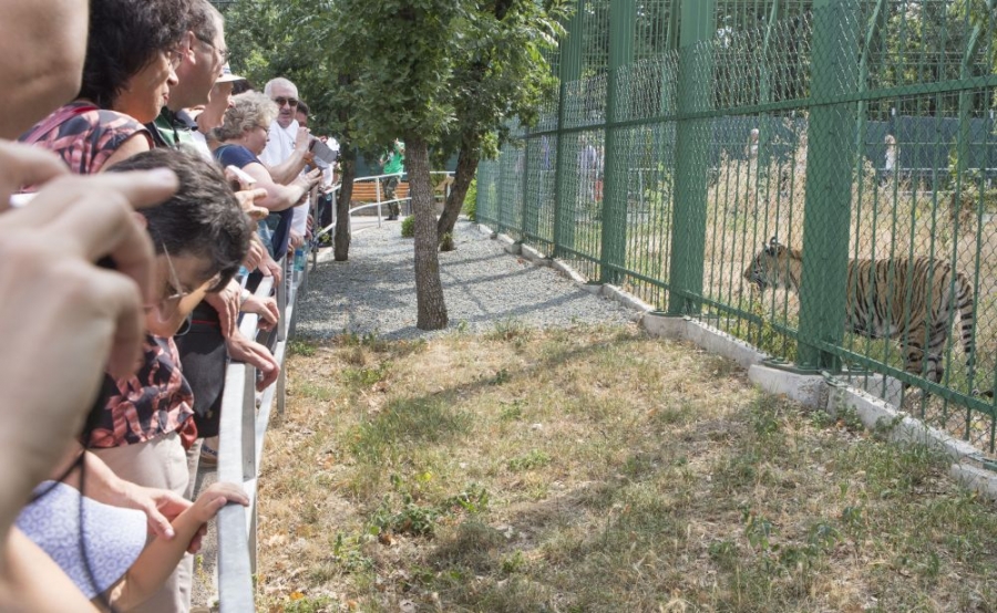 Ce ÎNCASĂRI a adus modernizarea Grădinii ZOO