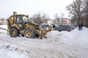 Cât ne va costa SAREA pentru combaterea POLEIULUI