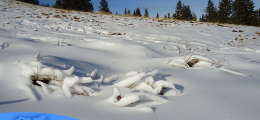 Ninsoare şi zero grade Celsius la Harghita Băi