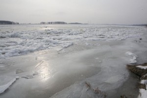 Blocaj pe Dunăre - Operaţiuni pentru eliberarea navelor captive în gheaţă