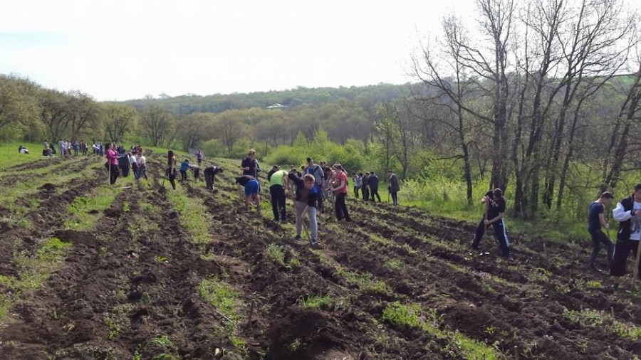 Conform planului anual: Pădurea Gârboavele s-a îmbogăţit cu 3.000 de copaci