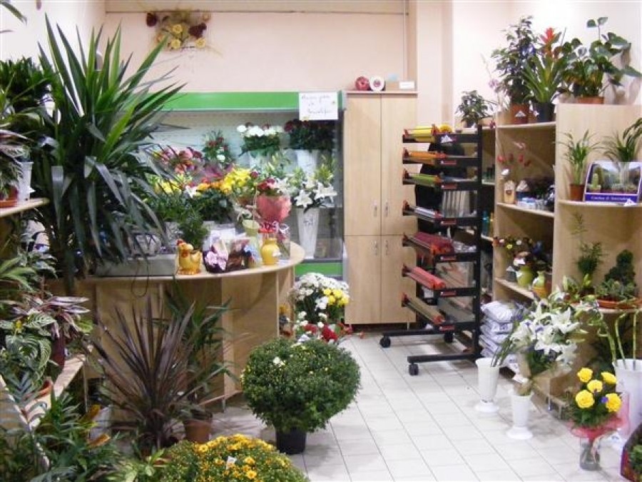 Florari amendaţi de Protecţia Consumatorilor/ Principalul motiv: neafişarea preţurilor