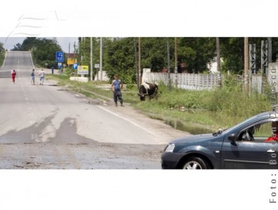 Trafic auto redeschis la Şendreni