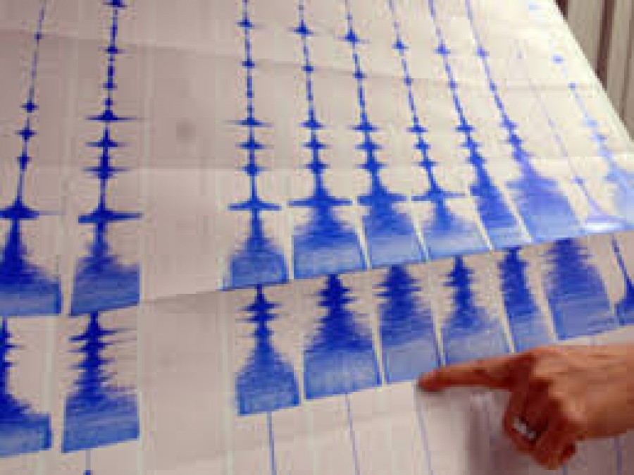 Cutremur de 4,4 grade pe scara Richter în Vrancea
