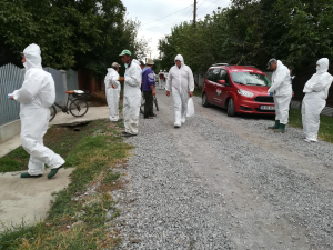 Două noi focare de pestă porcină în judeţul Galați. Se aşteaptă confirmarea în alte cinci cazuri