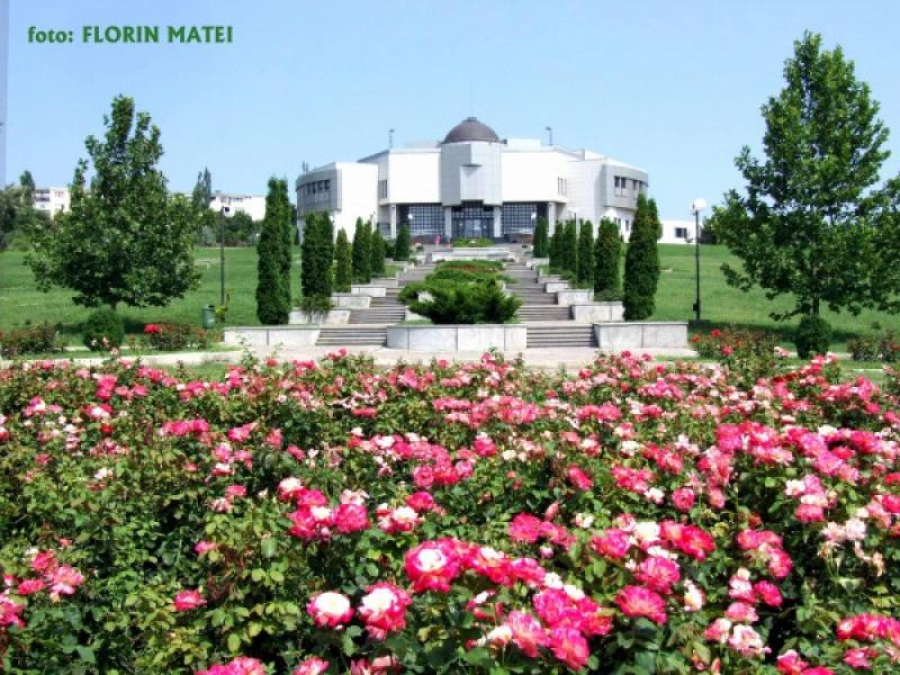 Colecţie de bonsai, vedetă la "Expo-Flora, flori la malul Dunării"