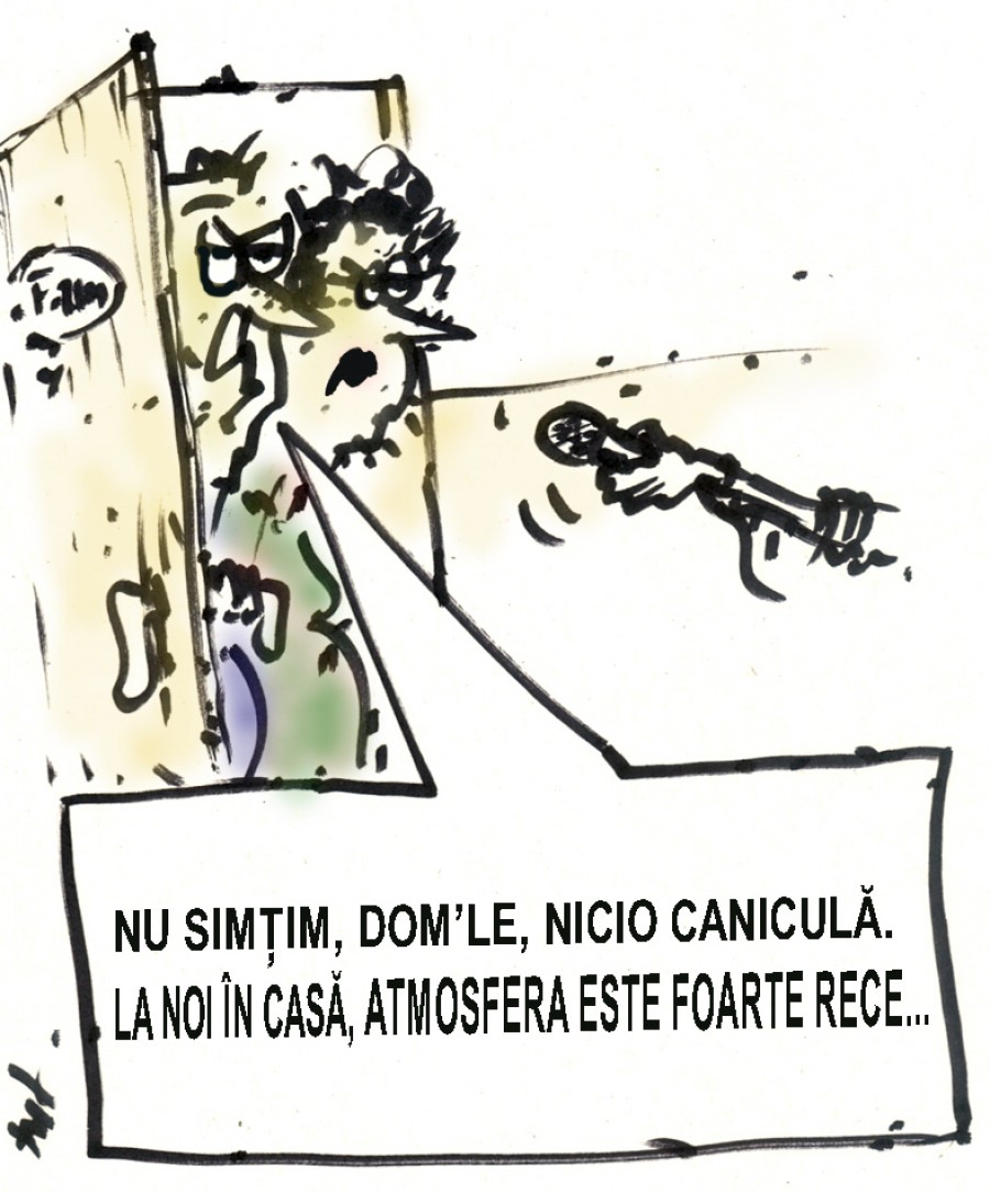 Caricatura 4 august 2013