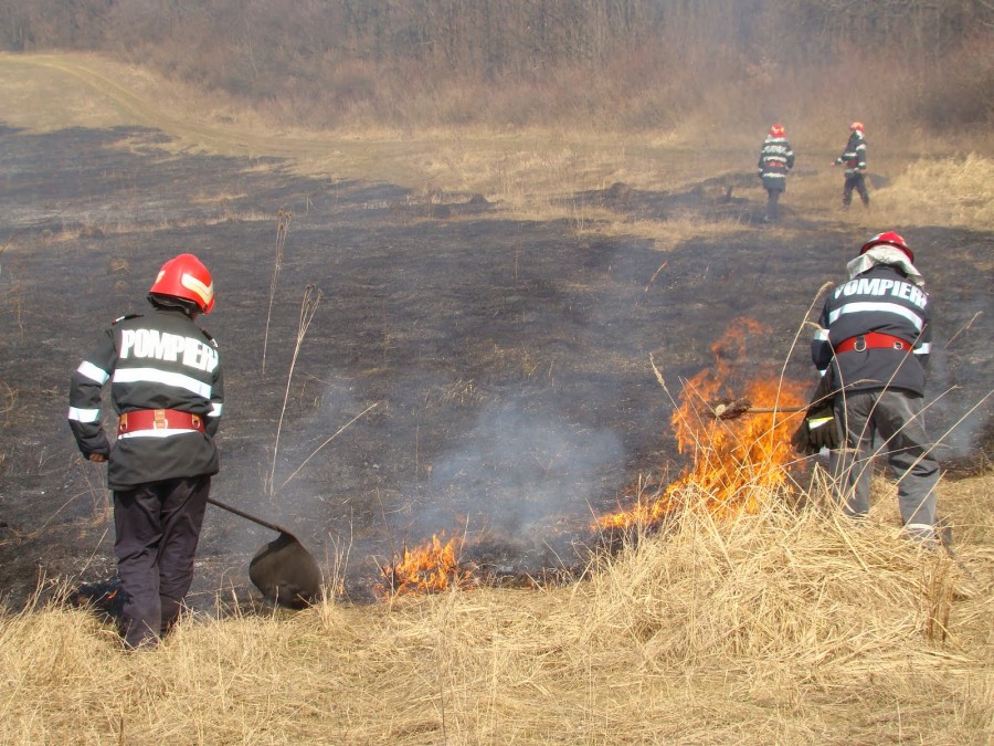 Zeci de hectare de mirişti AU ARS ca torţele! SANCŢIUNI aspre pentru incendiatorii ilegali