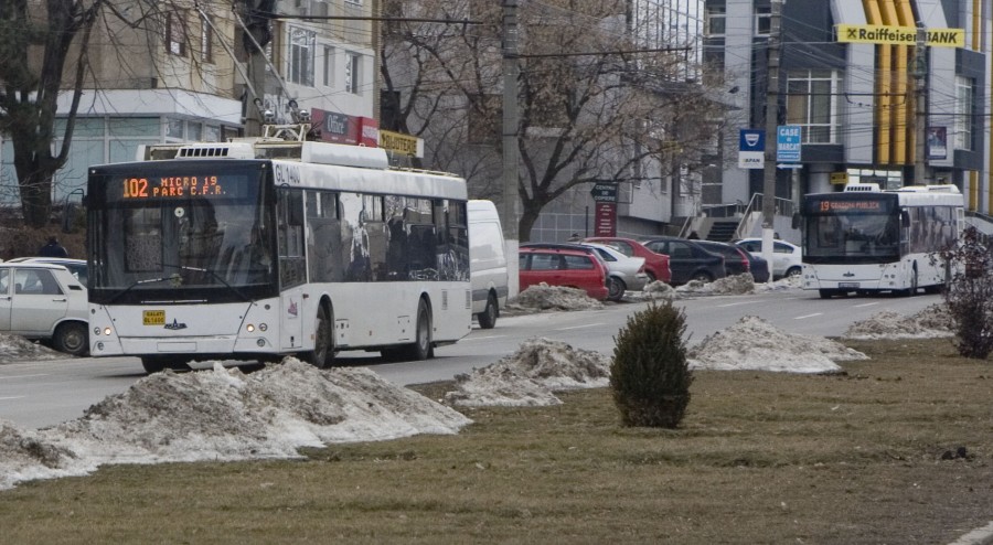 Facilităţi de cursă (electorală) lungă - Mai cumpără cineva bilet?