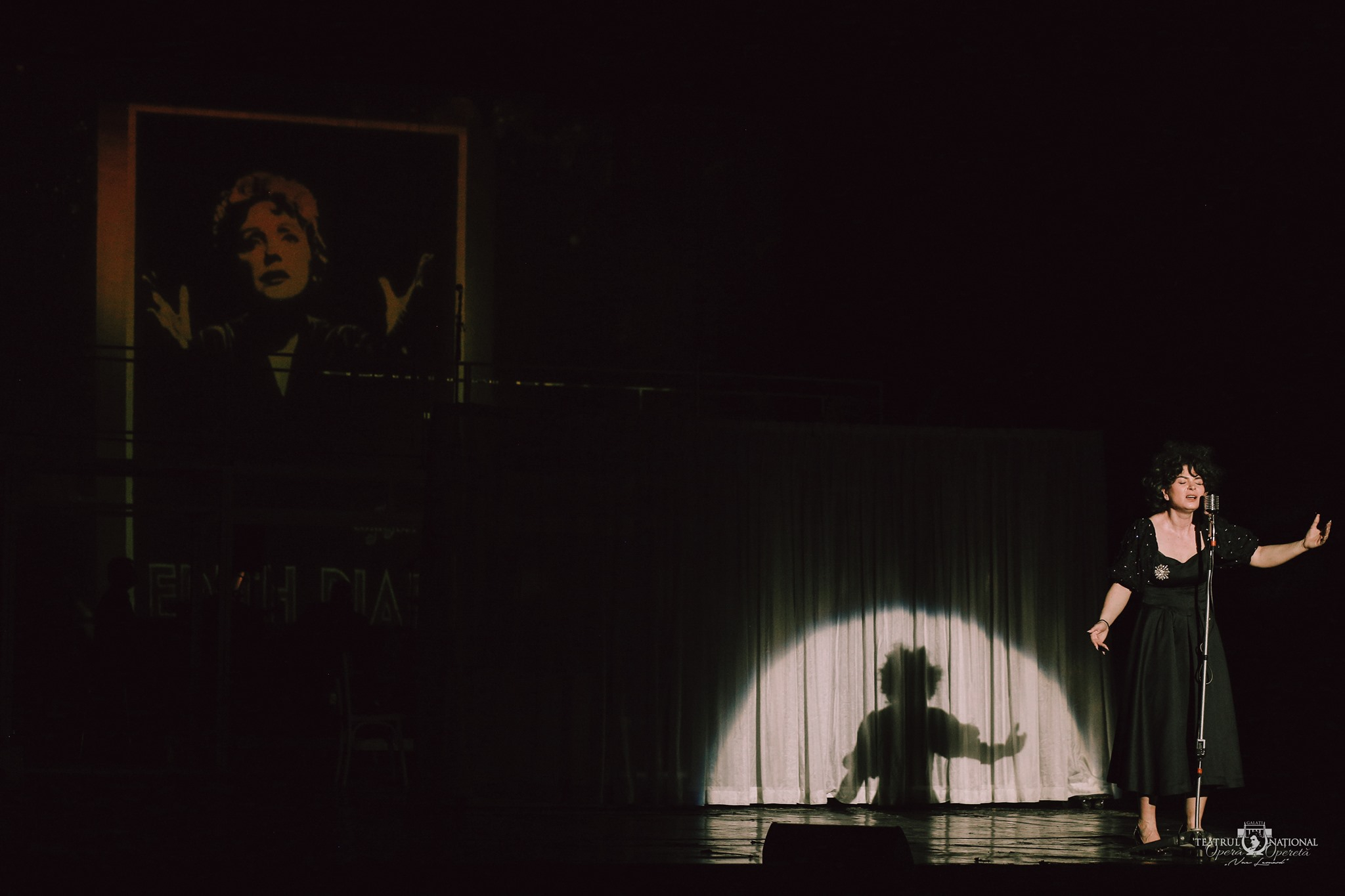 Concert simfonic şi "Edith Piaf - o viaţă"