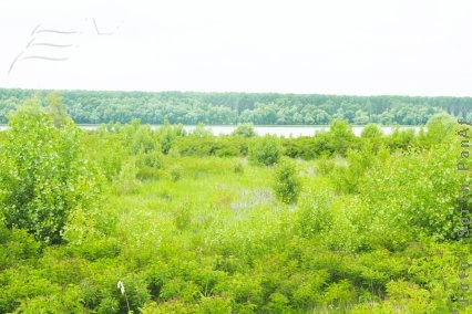 Daţi-ne înapoi Dunărea furată!