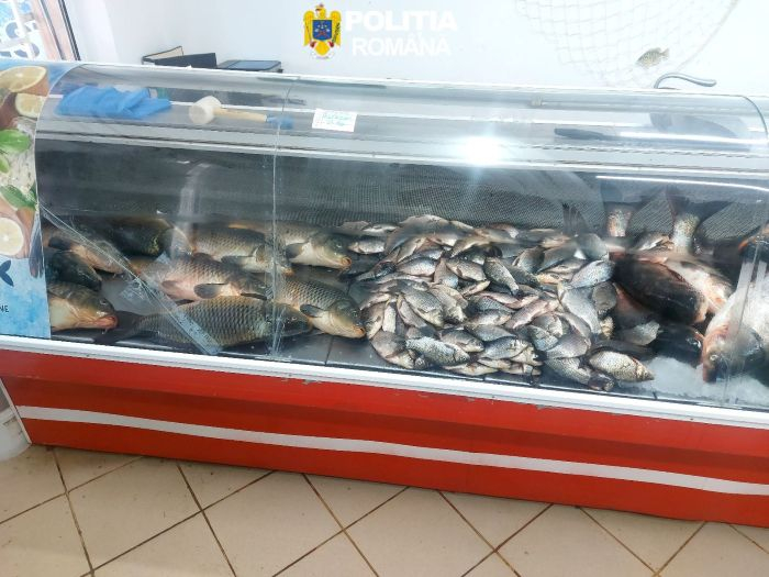 Operațiunea ”Peștele de Florii” a lovit în magazinele sătești