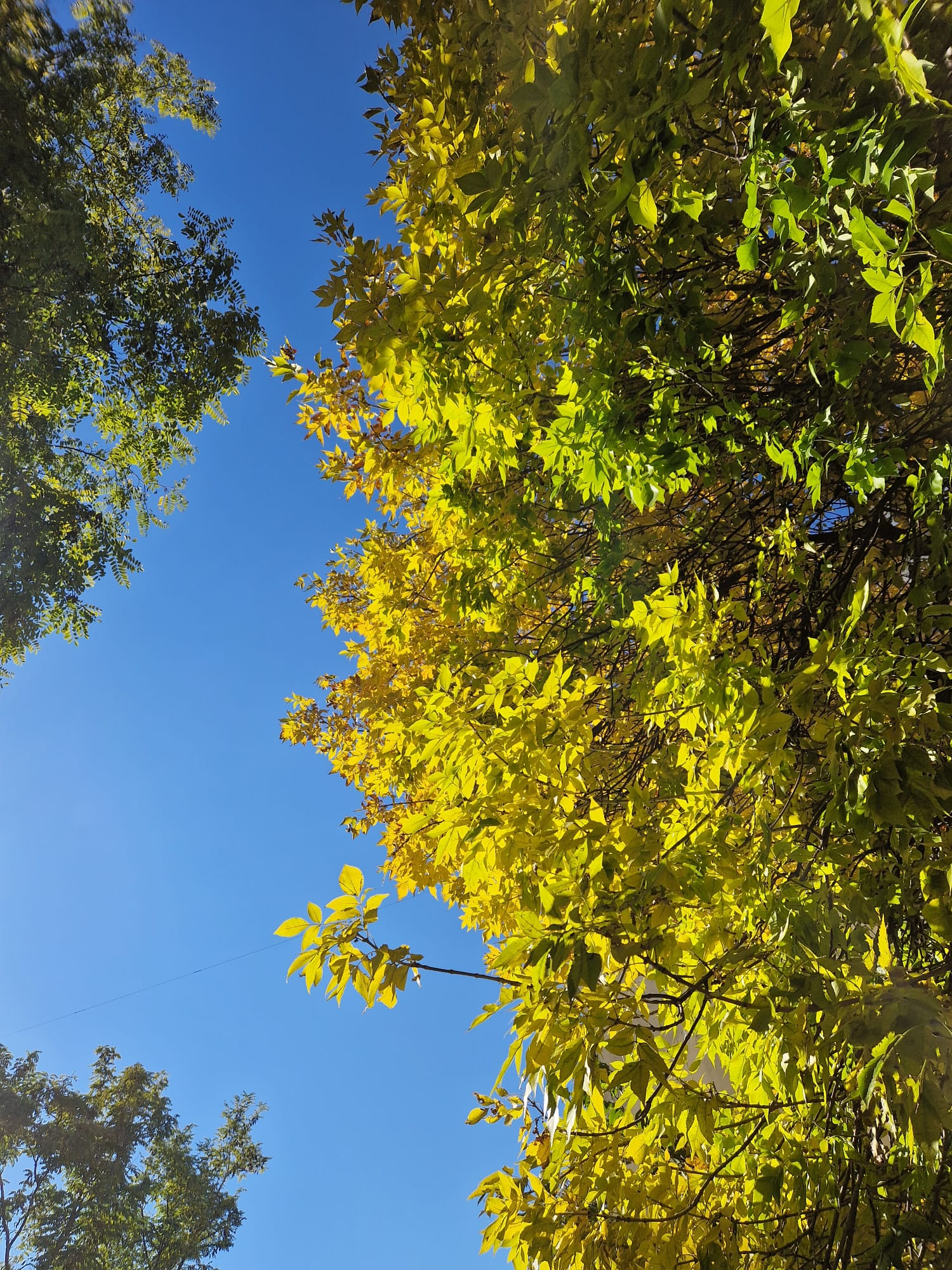 Meteo. Vreme rece, dar frumoasă