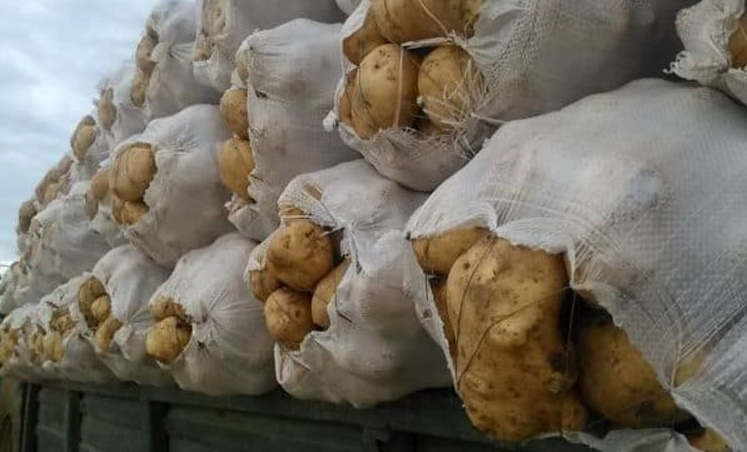 Harghita vine în sprijinul Galațiului. Transport de cartofi pentru sinistrați