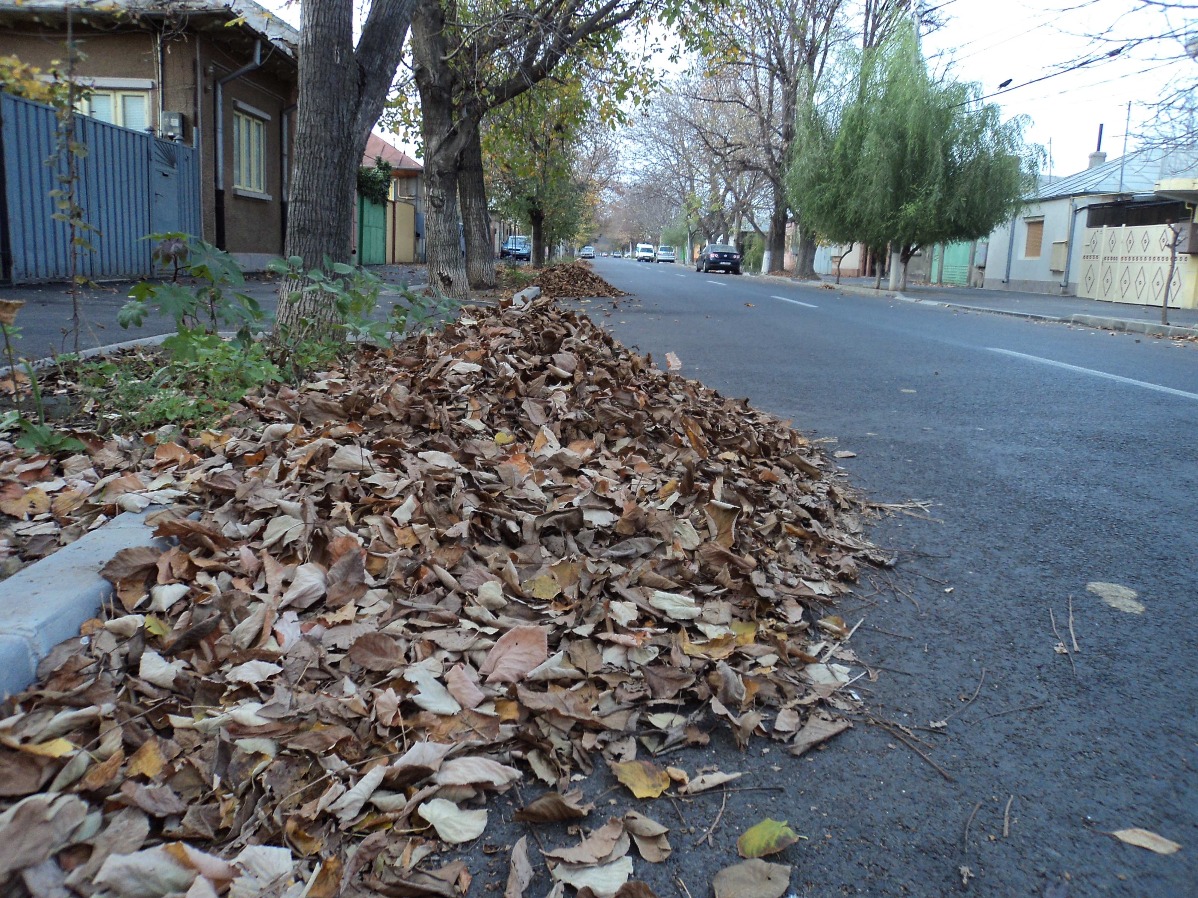 Toamna în Galaţi: Romantici fiindcă n-avem încotro