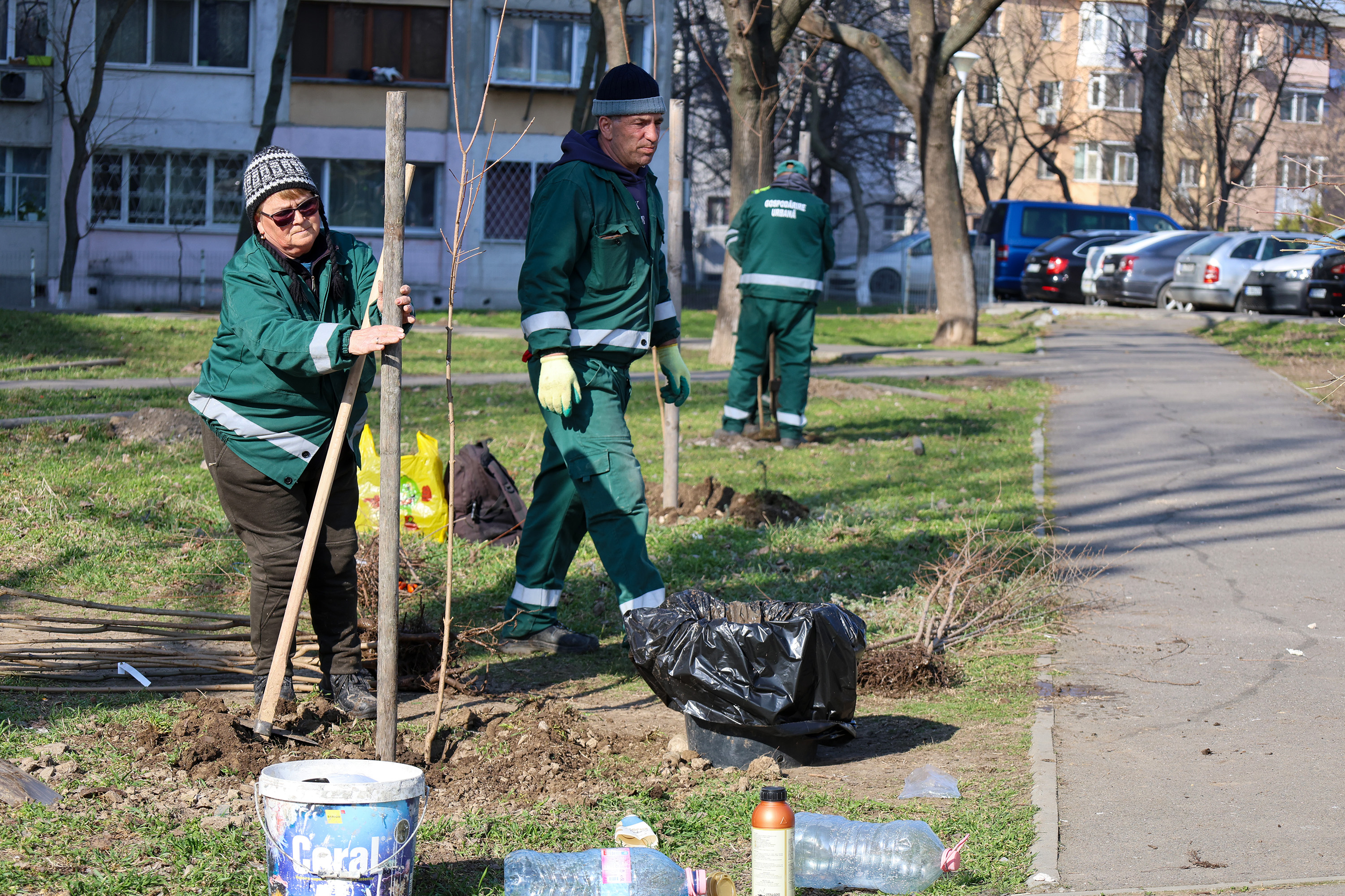 Ce trebuie să prindă rădăcini în Galați în această primăvară