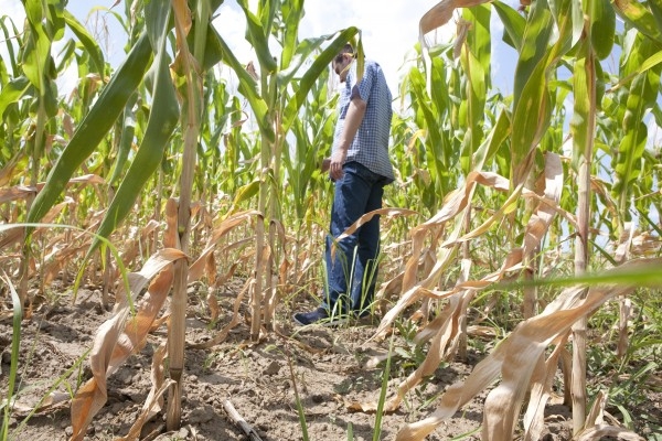 Până vineri! CEREŢI despăgubiri, prin intermediul APIA