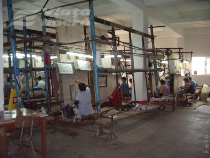 Iţe încurcate pentru covoarele gălăţene