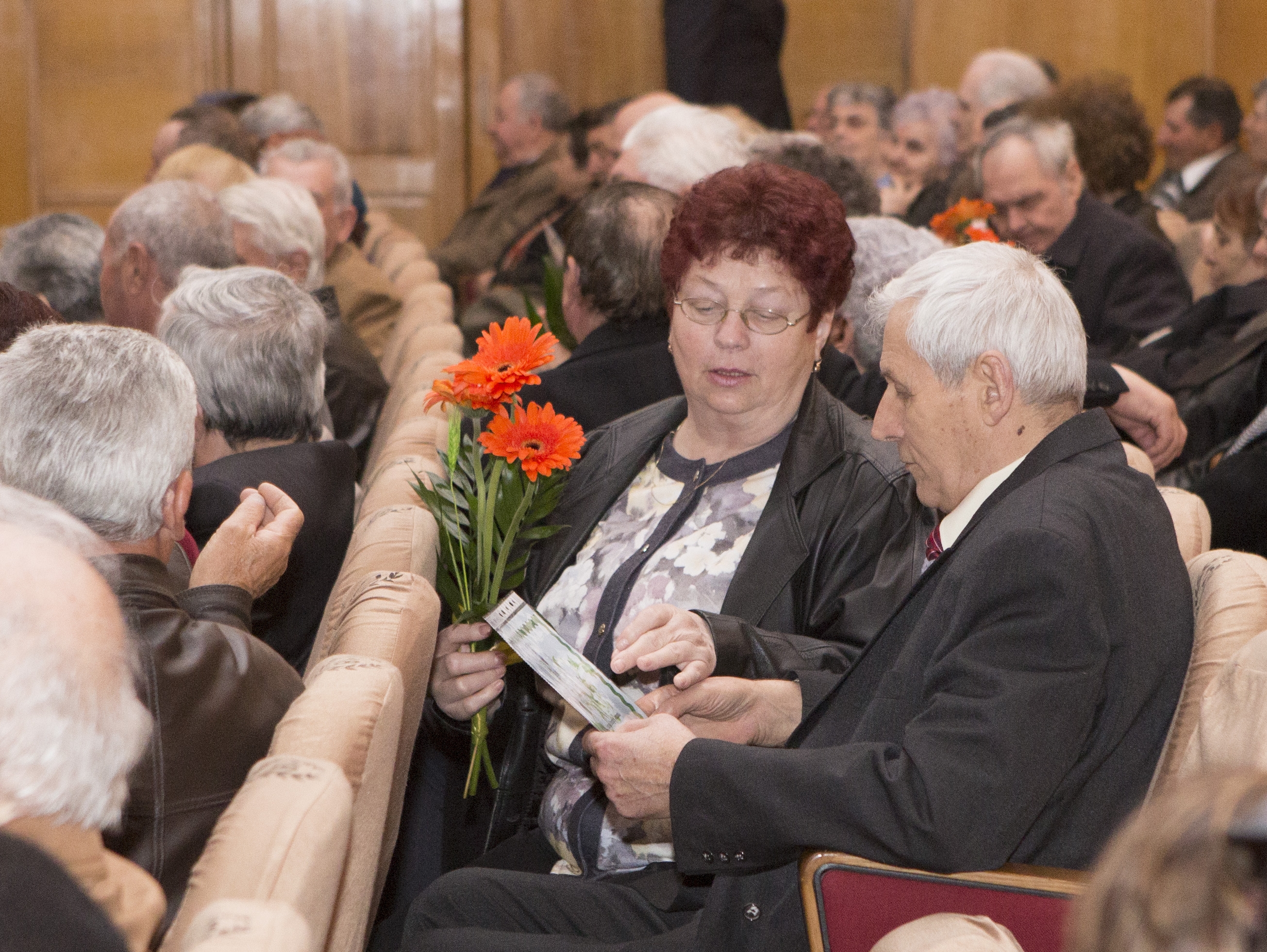 137 de cupluri sărbătorite/ Primăria oferă din nou PREMII LA NUNTA DE AUR