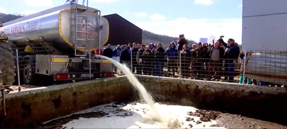 Fermierii ardeleni varsă laptele pe câmp