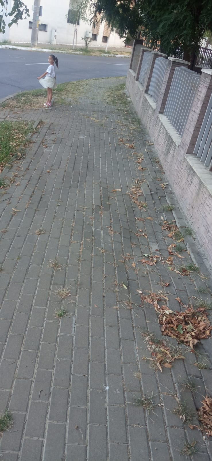 Poza zilei. „Valurile Trotuarului”: Melodia care a cucerit Galațiul