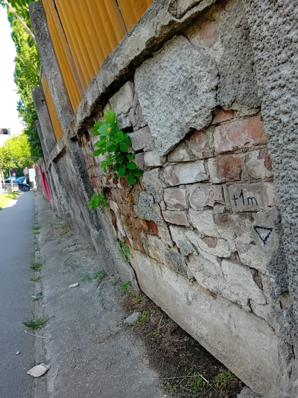 Poza zilei. Când gardul pleacă la plimbare