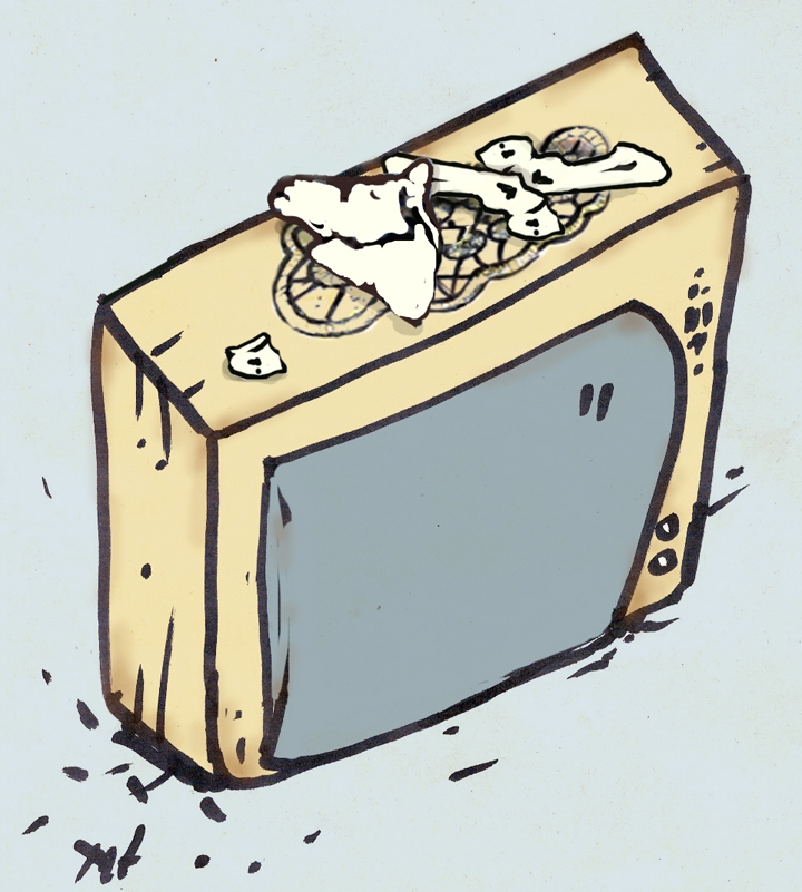 Caricatura 13 martie 2013