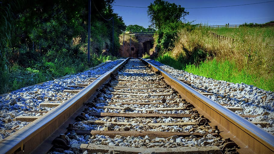 Contract pentru tăierea arborilor periculoși de lângă calea ferată