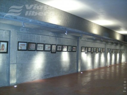 Meridianele caricaturii