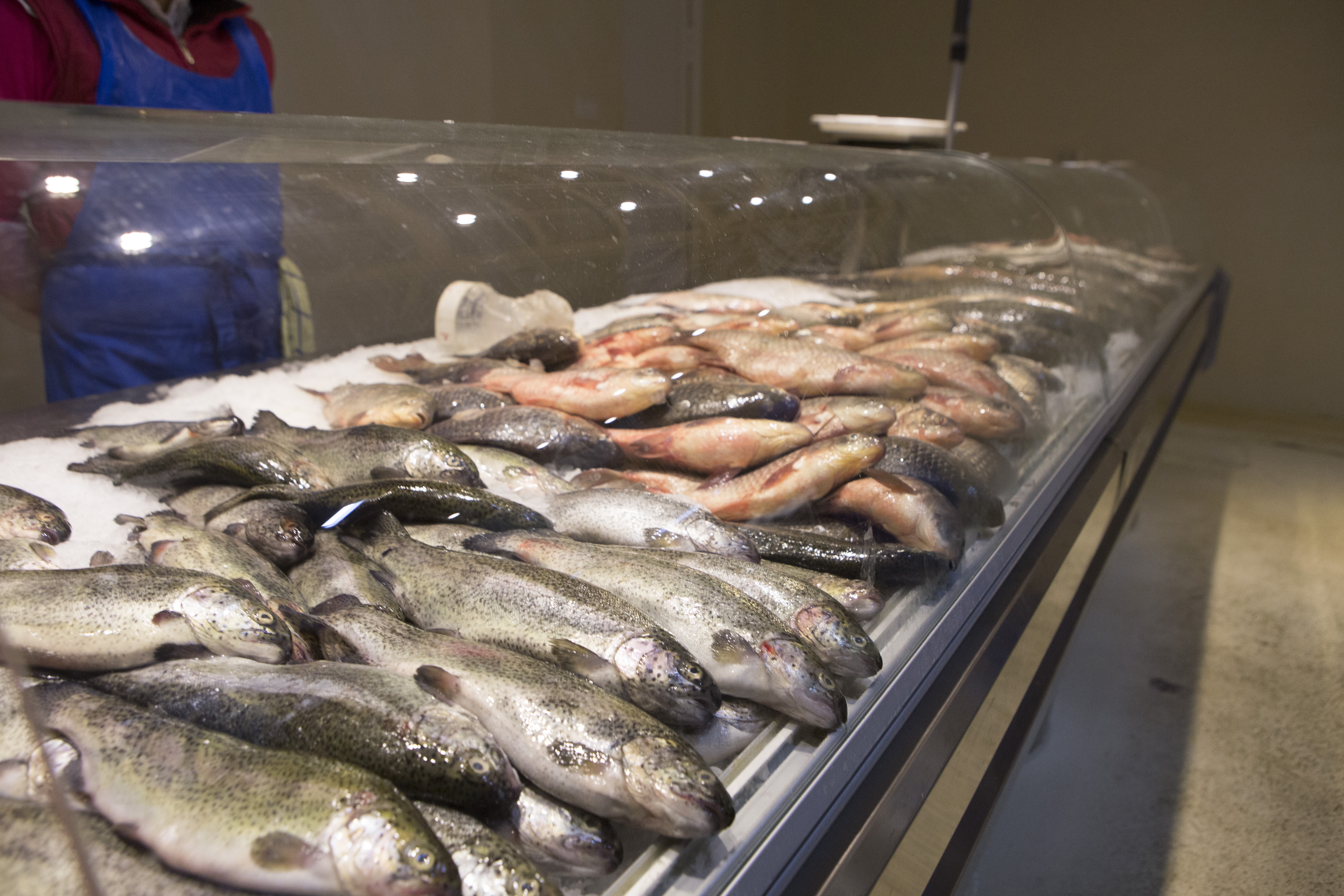 Ce peşte punem în farfurie de Florii/ Scrumbia de Dunăre, în mare criză