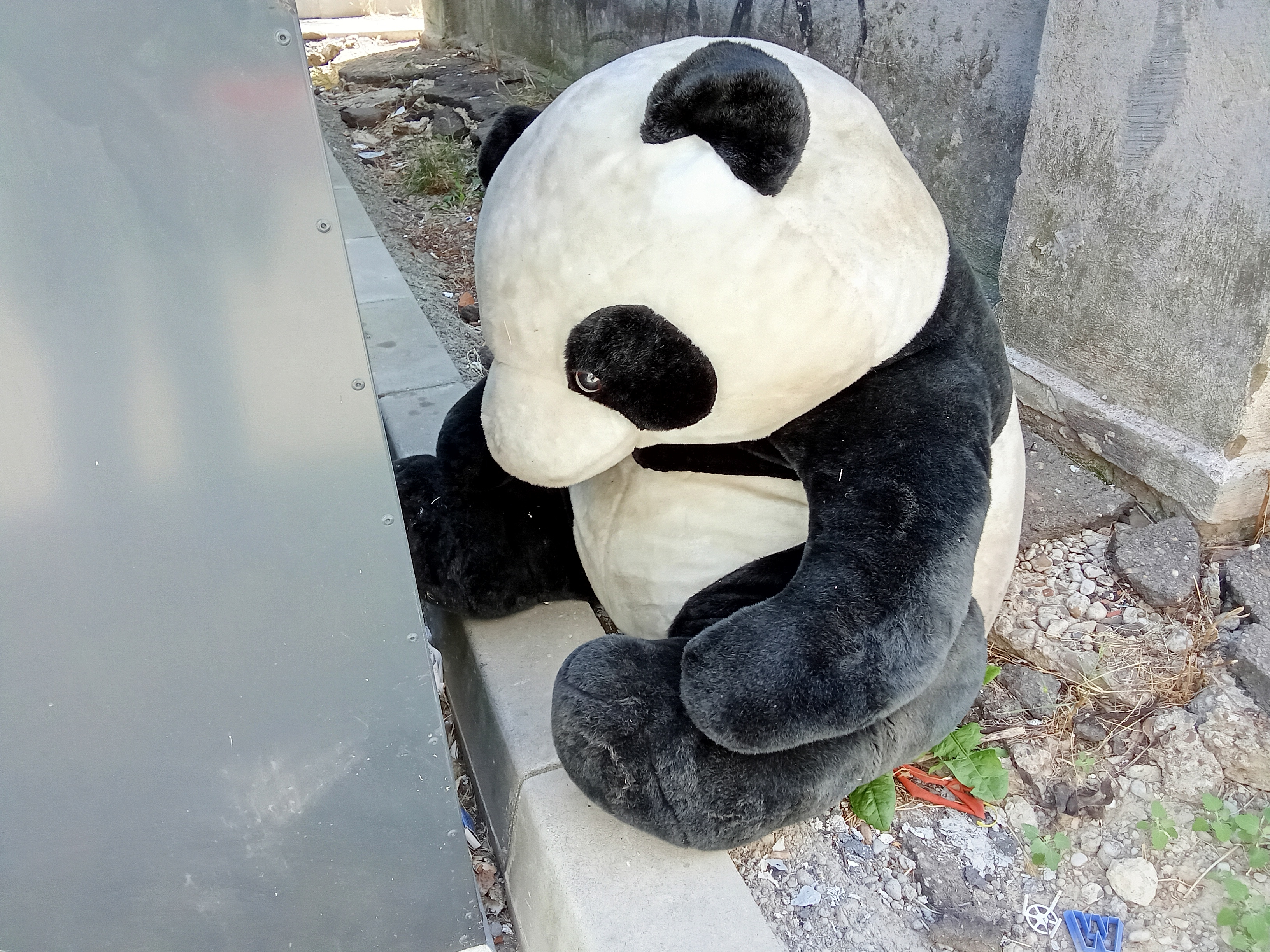 Poza zilei. Reciclăm şi jucăriile?