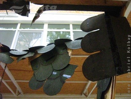 Gălăţeanul zburător 