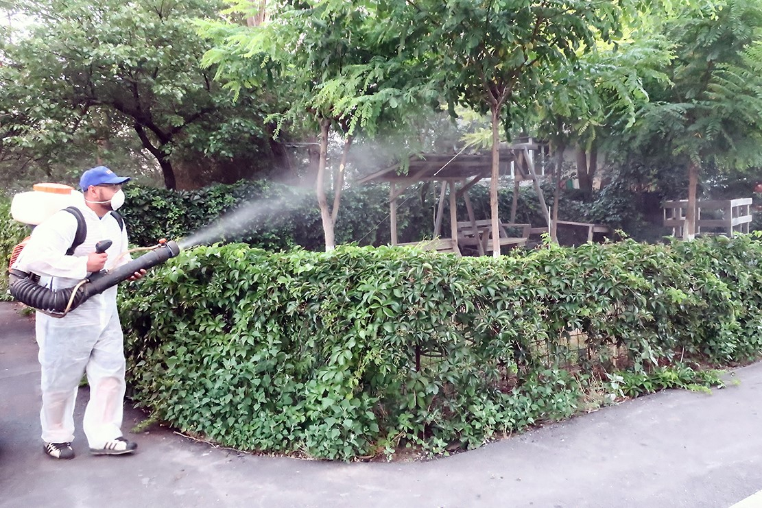 O nouă etapă de dezinsecție în municipiul Galați