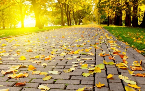 Cum va fi vremea astăzi. Temperaturile bat în retragere