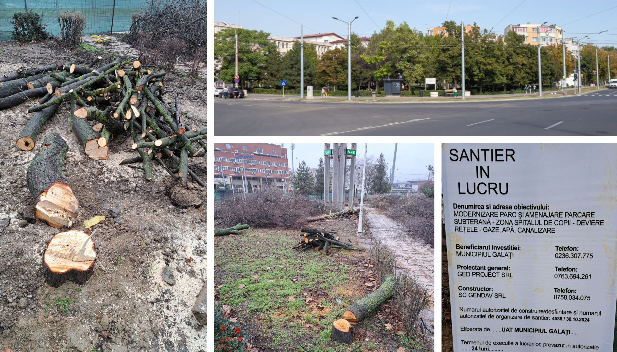 66 de arbori au dispărut din fostul parc de la Spitalul de Copii. Lucrări începute cu... drujba