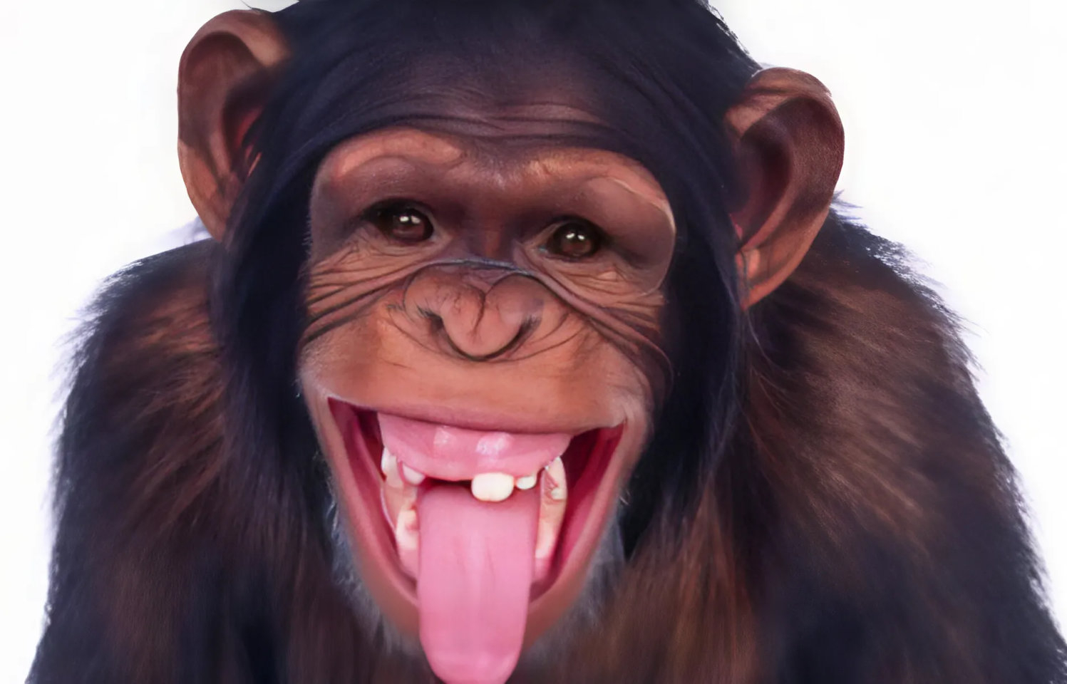 Zâmbește, că și mâine ar putea fi mai rău!