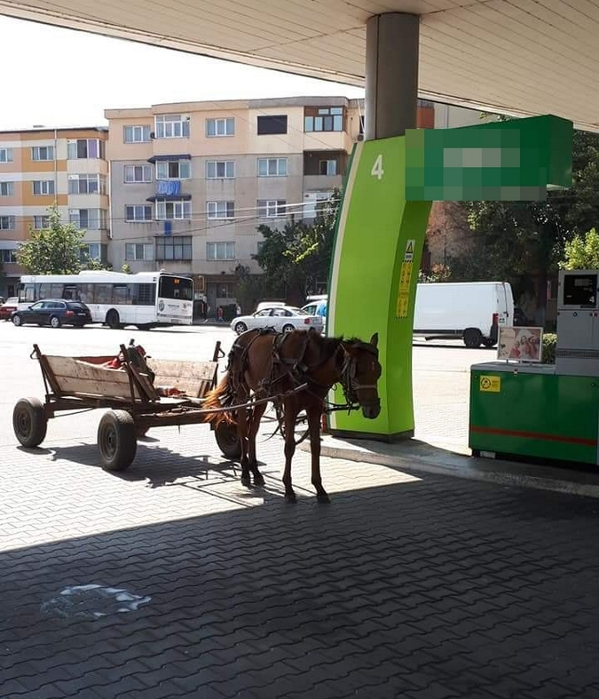 În Buzău, se circulă în condiții de iarbă