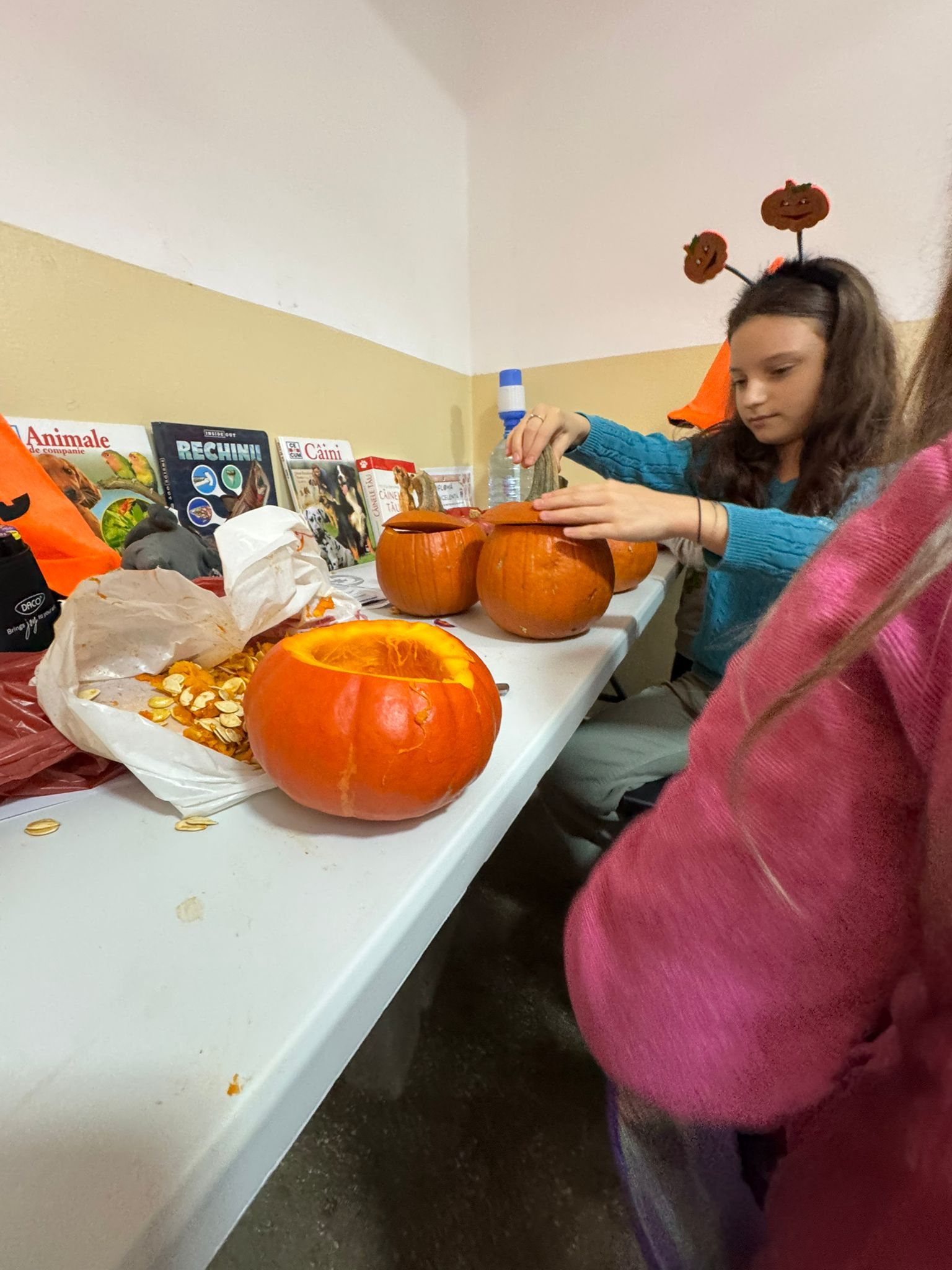 Căsuță pentru pisici comunitare și dovleci sculptați manual în Comunitatea Portului din Galaţi