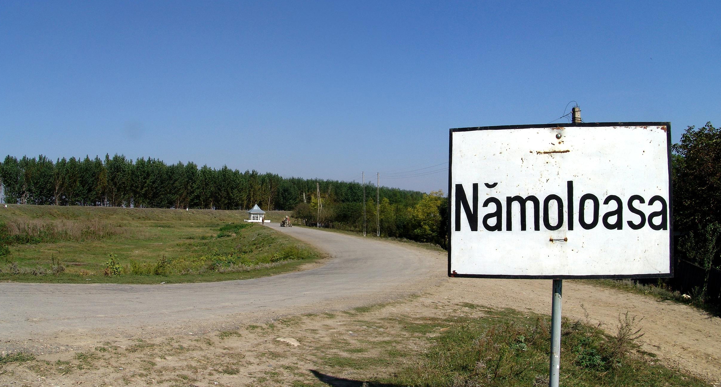 Un danez a spulberat doi bătrâni din Nămoloasa