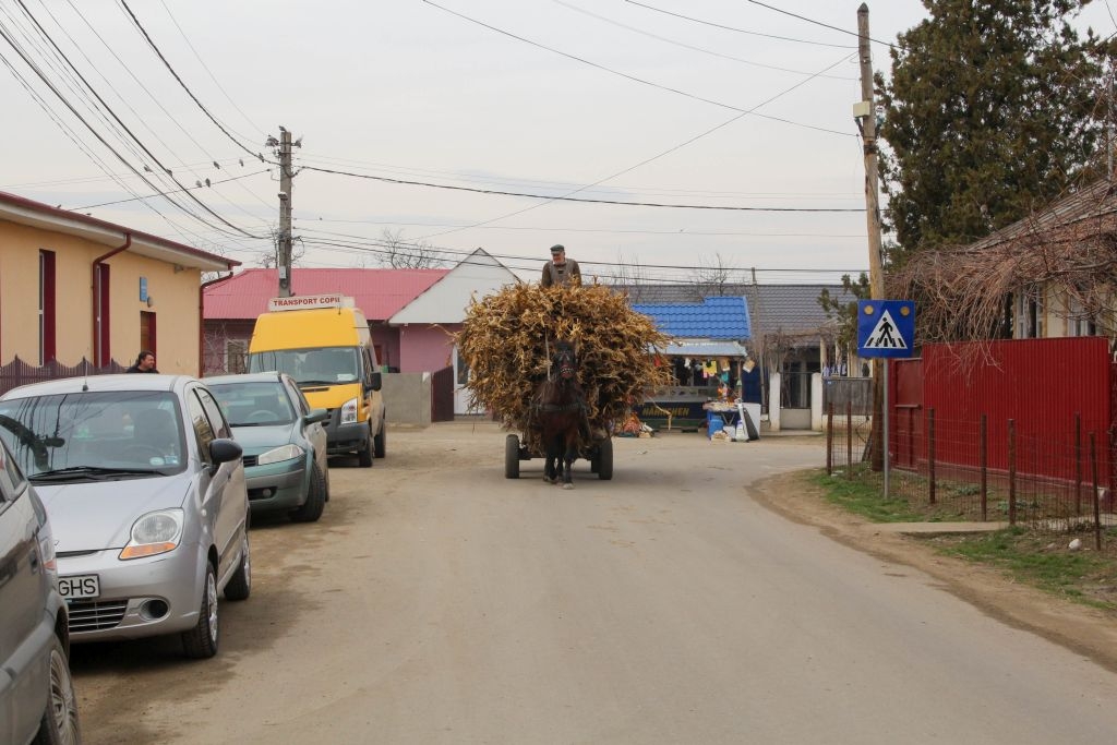 La Ghidigeni, aproape o mie de oameni ASISTAȚI SOCIAL