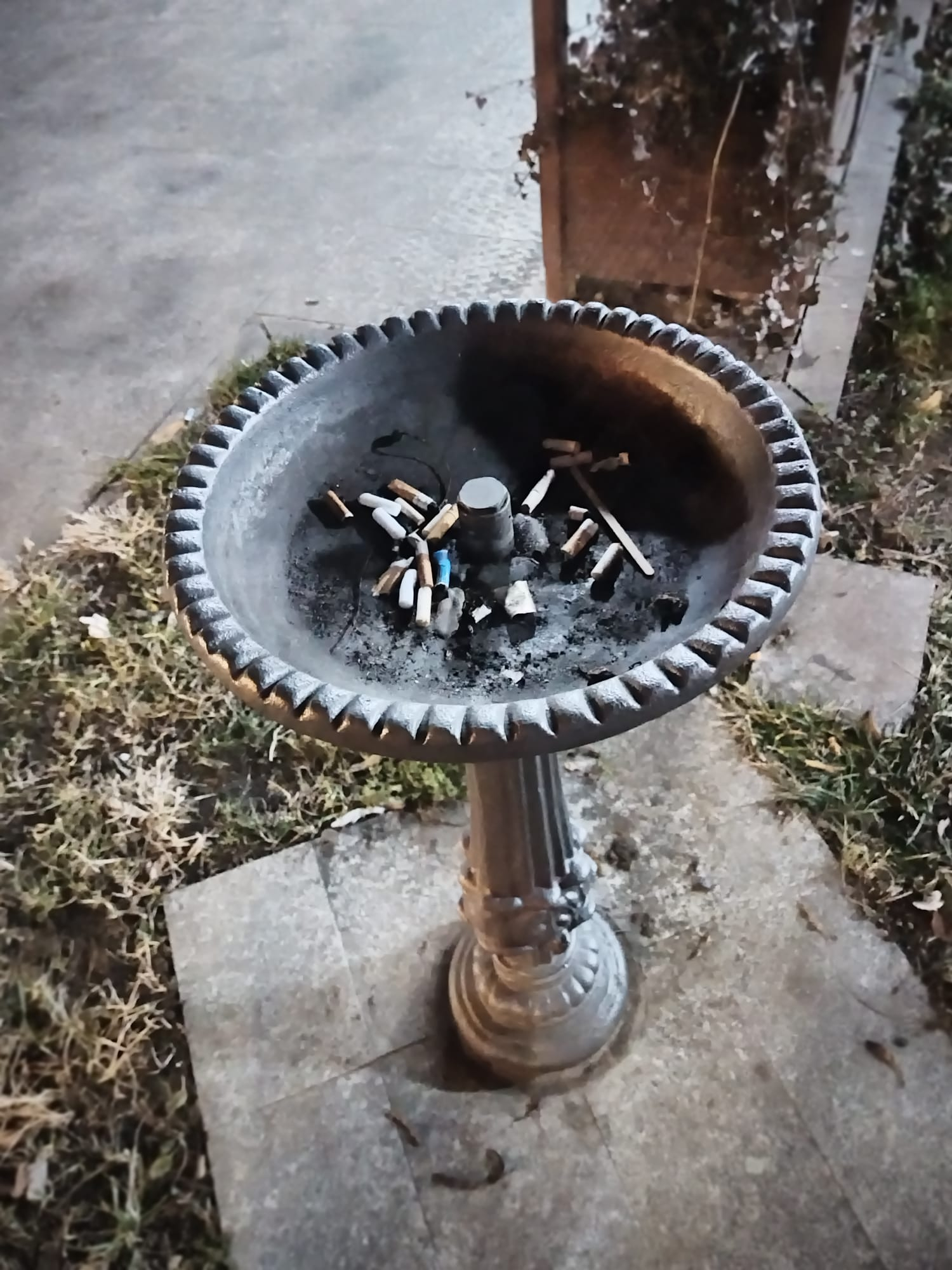 Poza zilei. Seceta ţâşnitorilor, norocul fumătorilor