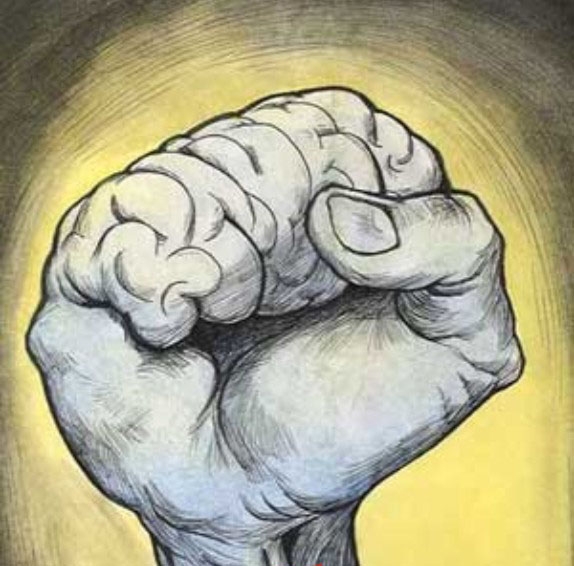 Educaţie şi caricaturi 