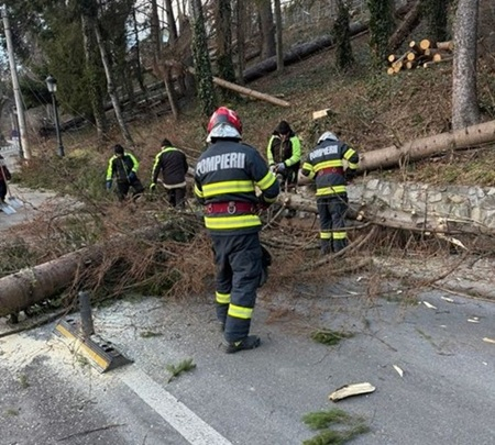 Vijelii pe Valea Prahovei. Copaci rupți de furtună în Sinaia și Bușteni