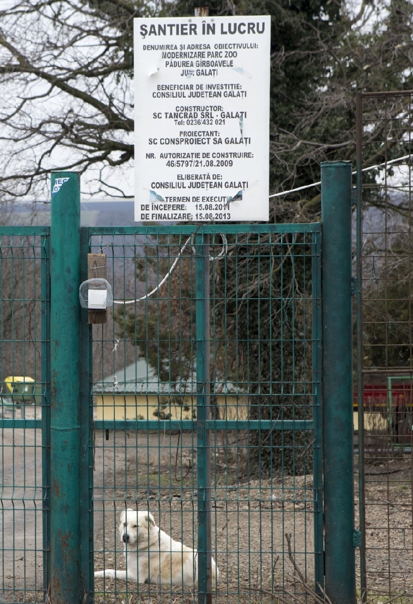 GRĂDINA ZOOLOGICĂ, aproape de REDESCHIDERE. Mai lipseşte doar gardul