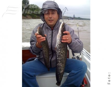 Somnul păcălit de maţe