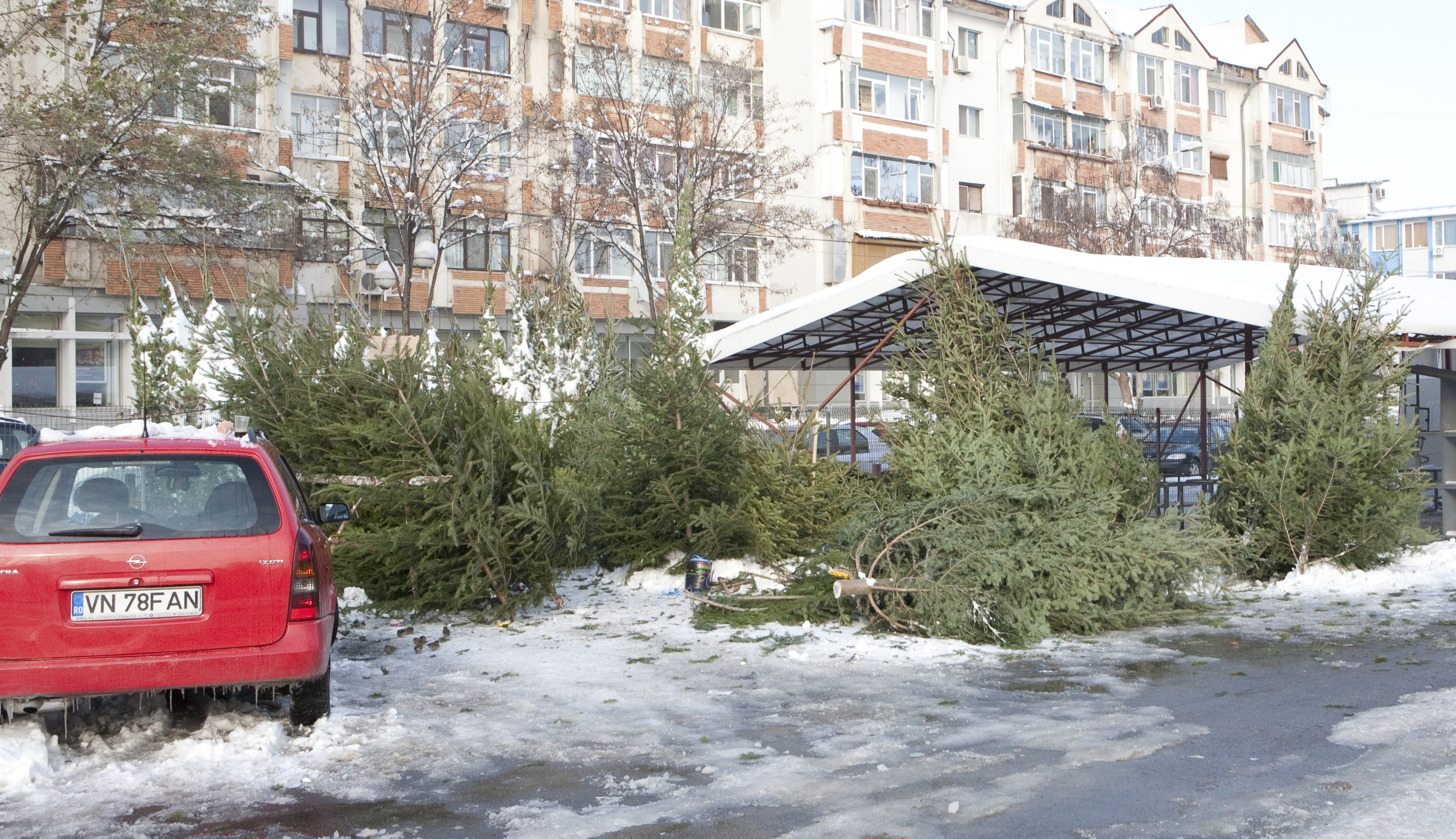 Vom avea un Crăciun tare scump! 