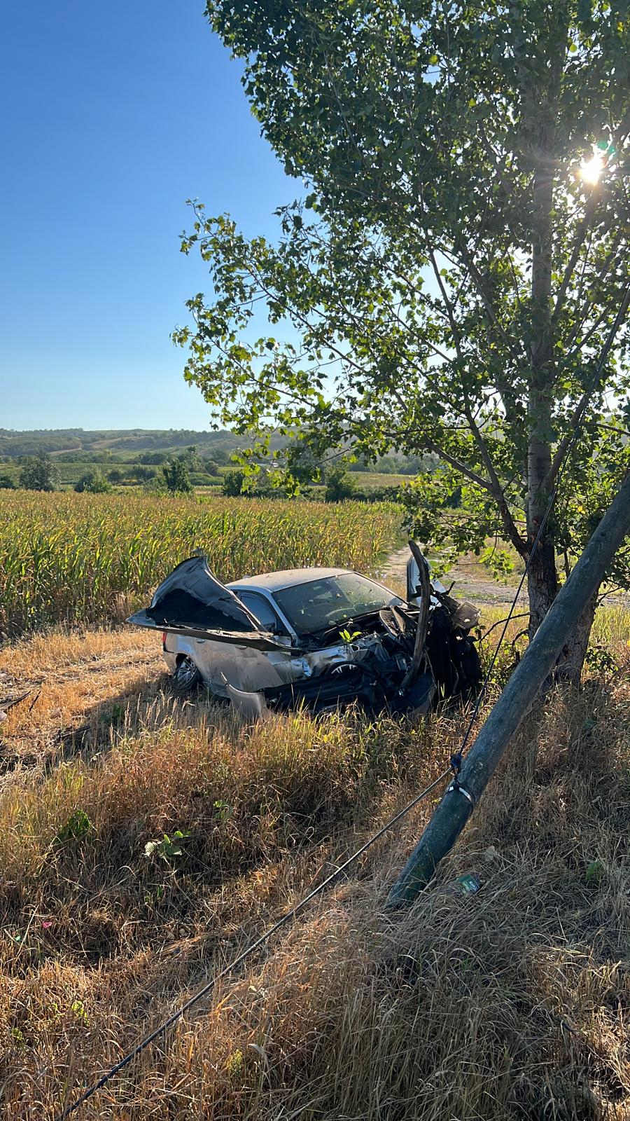 O mașină plină cu pasageri a intrat într-un copac
