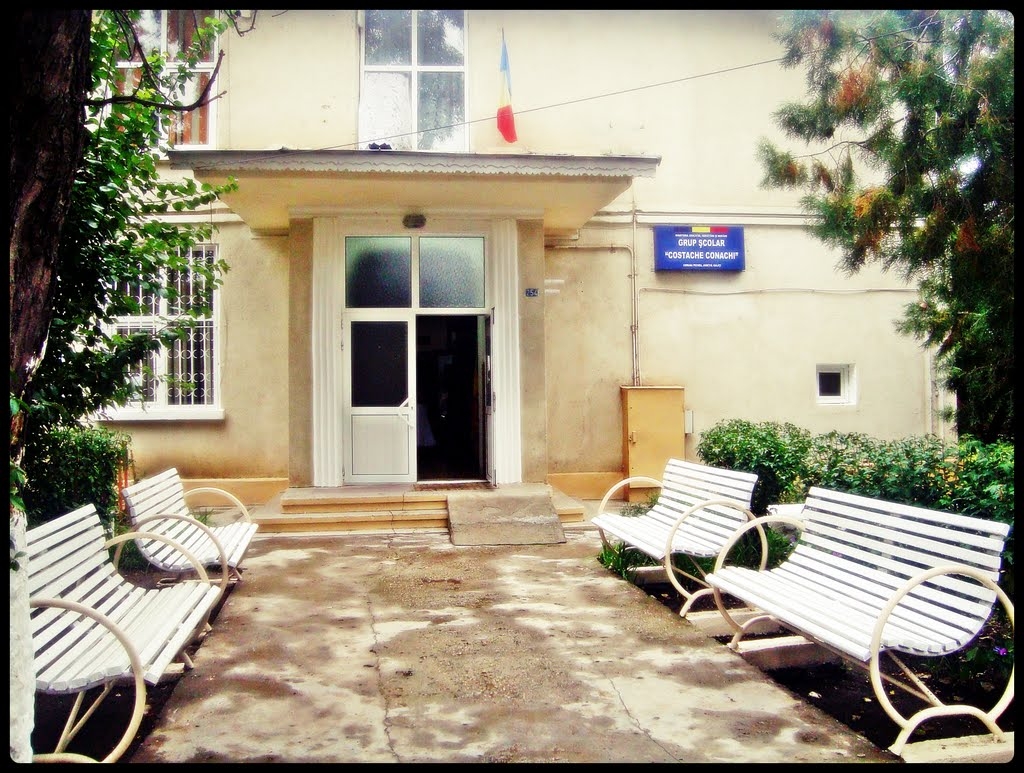 Elevii de la Pechea au făcut practică în Portugalia şi Polonia