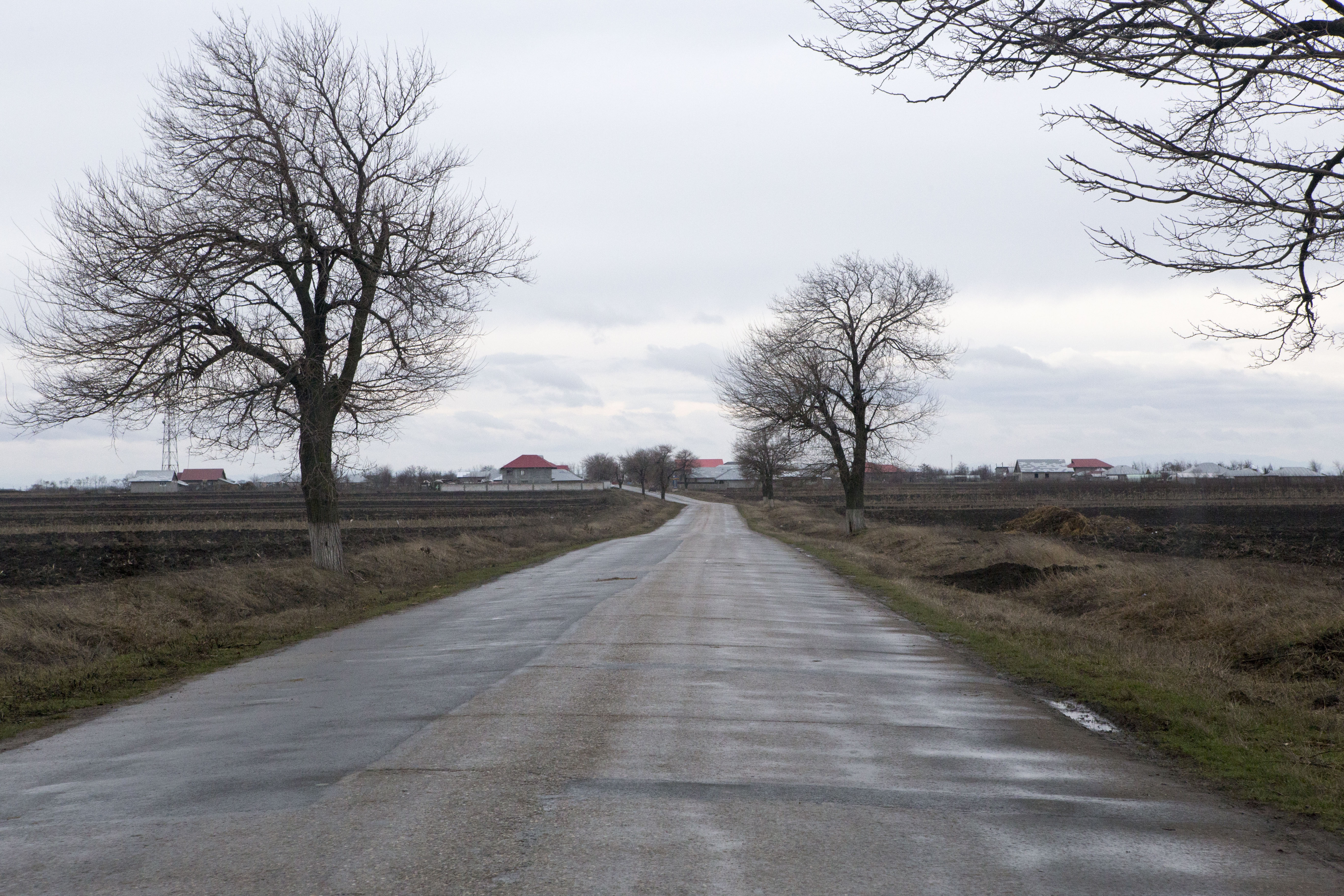 Cum lasă Consiliul Judeţului Galaţi IZOLAT SATUL Călmăţui în fiecare iarnă (FOTO)